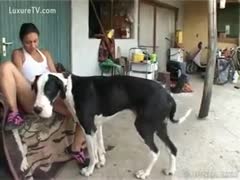 Bored brunette hair lets a large dog take up with the tongue her vagina